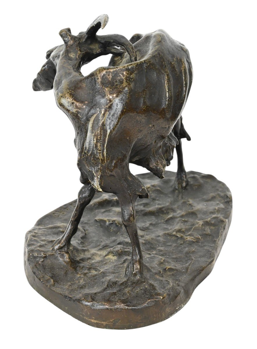 Ernesto Bazzaro - Bronze Goat - Italy Early 20th Century-photo-3